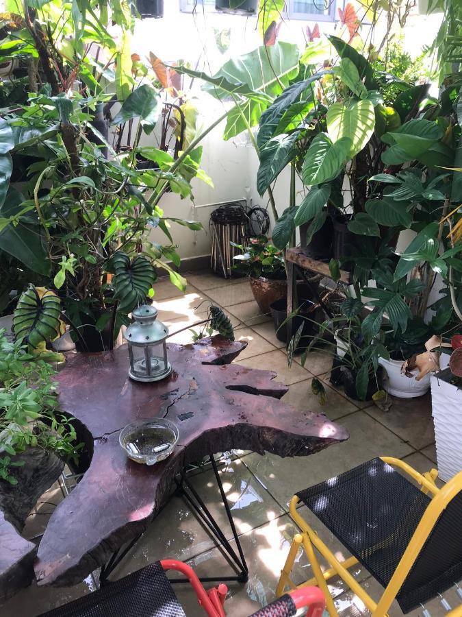 Amango Dorm Vandrehjem Ho Chi Minh-Byen Eksteriør billede