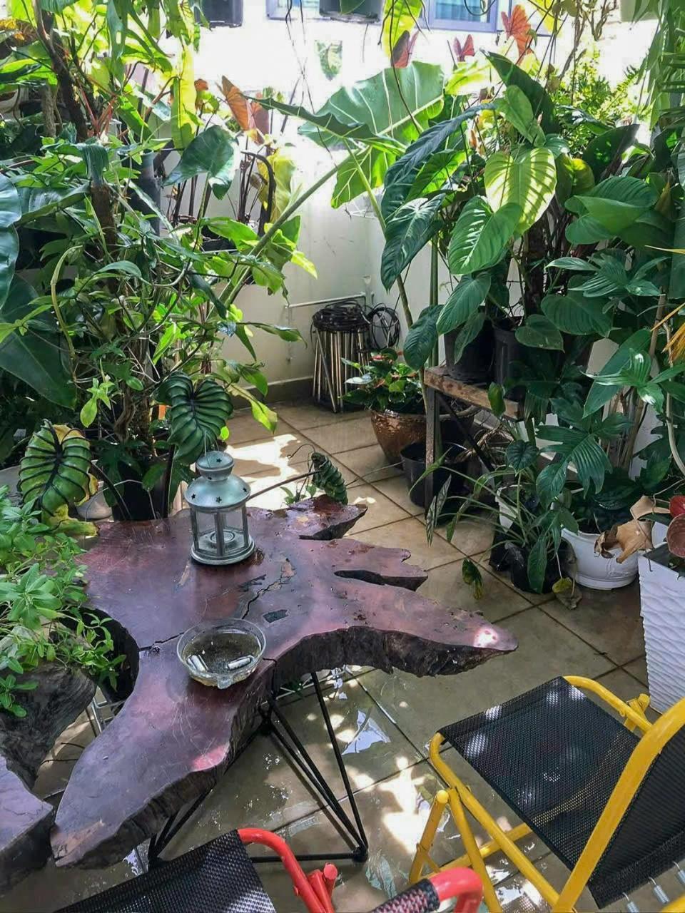 Amango Dorm Vandrehjem Ho Chi Minh-Byen Eksteriør billede